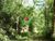 Terreno, 3 hectares - Foto 3