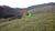 Terreno, 339 hectares - Foto 4