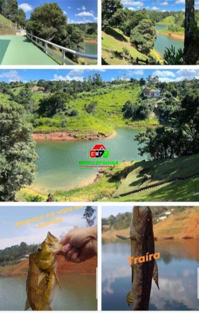 Chácara, 3 quartos, 4600 m² - Foto 2