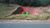 Terreno, 300 m² - Foto 2