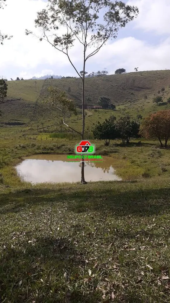 Terreno, 3 hectares - Foto 6