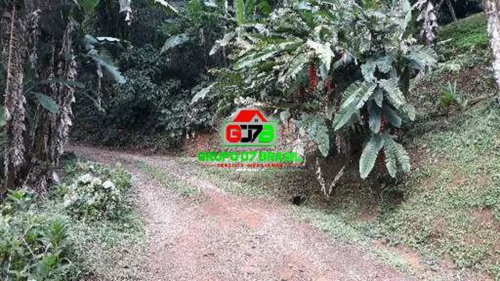 Terreno, 4 hectares - Foto 7