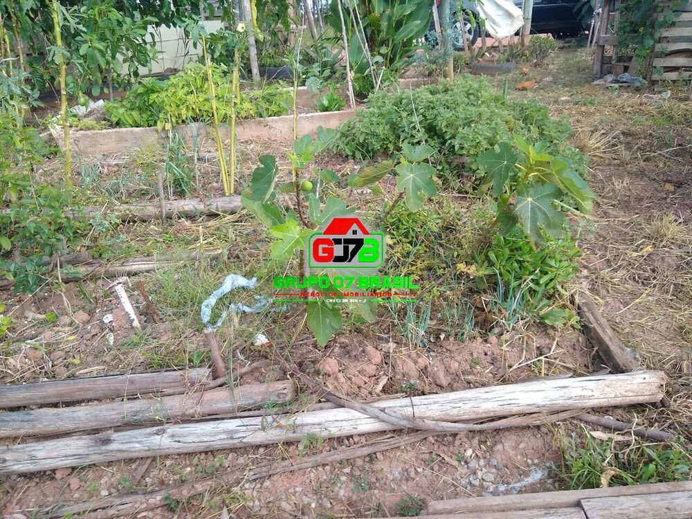 Chácara à venda com 3 quartos, 3800m² - Foto 7