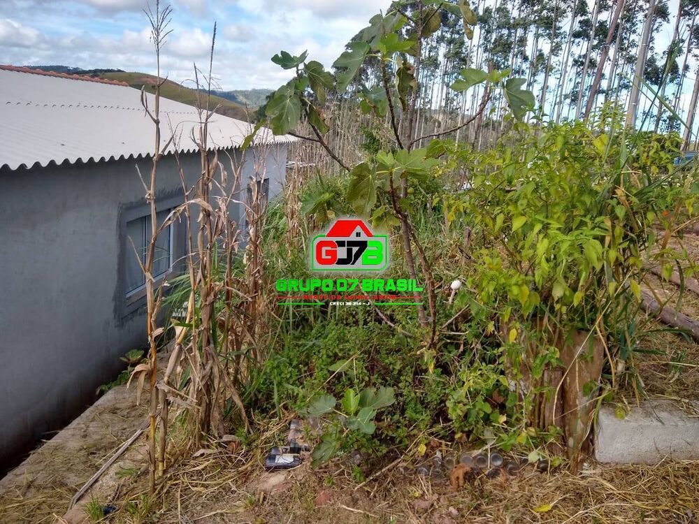 Chácara à venda com 3 quartos, 3800m² - Foto 13