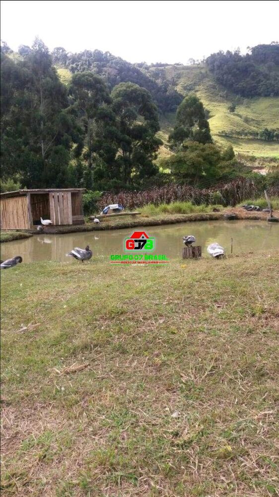Terreno, 20 m² - Foto 4