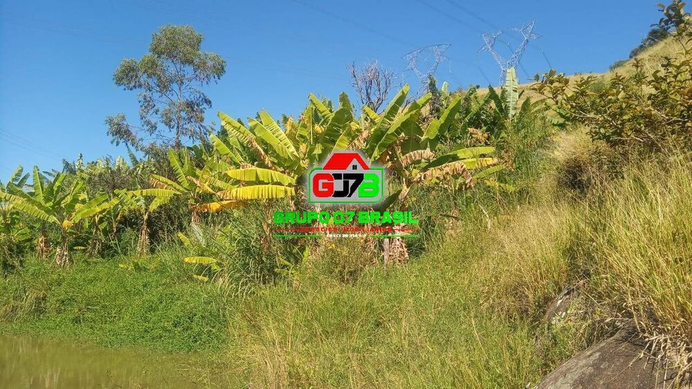 Terreno, 6 hectares - Foto 4