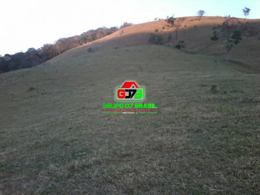 Terreno, 2 hectares - Foto 7