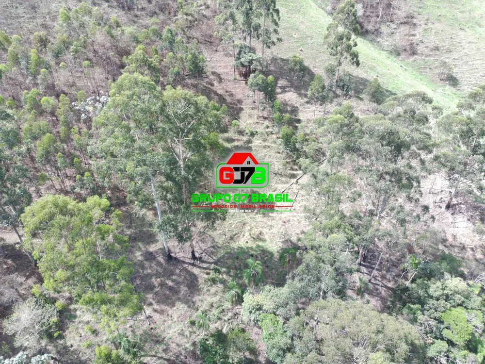 Terreno, 3 hectares - Foto 6