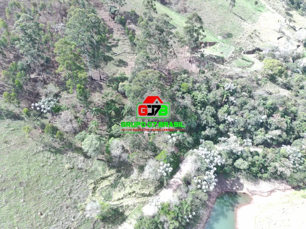 Terreno, 3 hectares - Foto 7