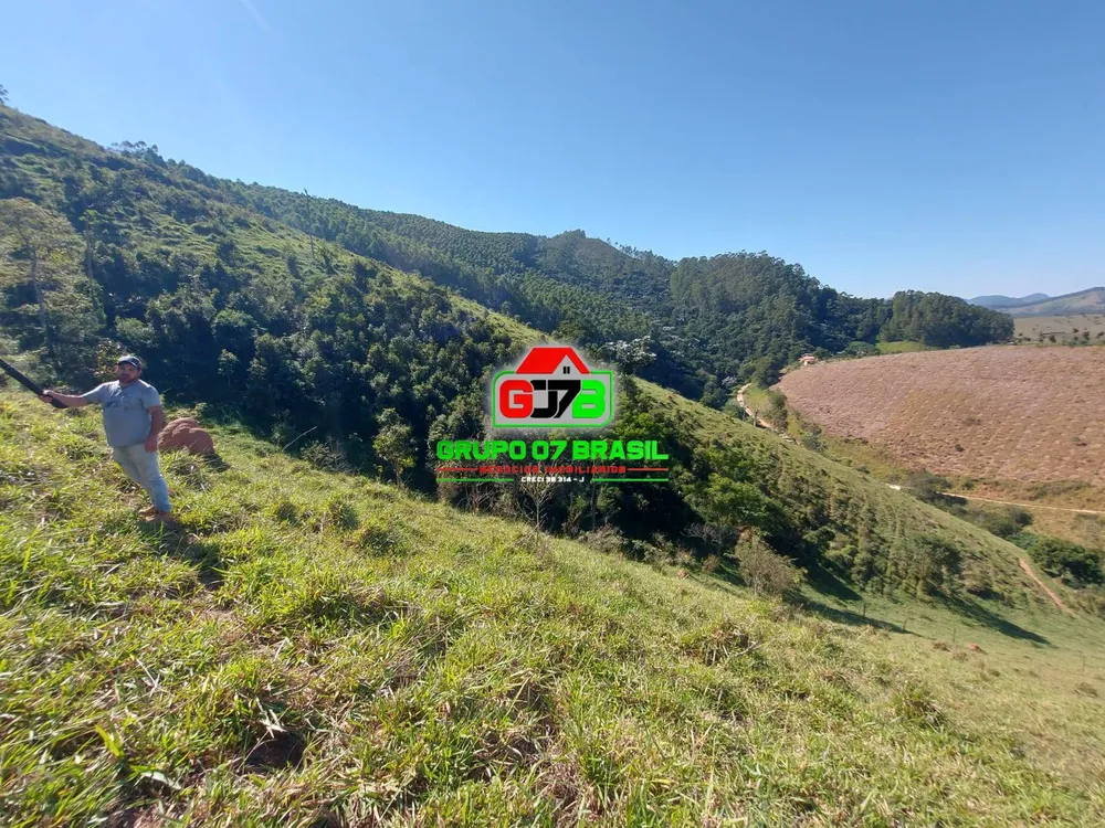 Terreno, 3 hectares - Foto 2