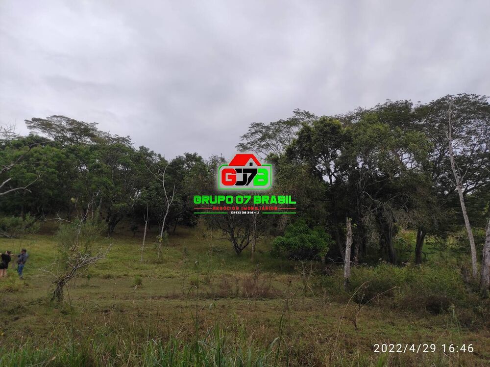 Terreno, 2 hectares - Foto 2