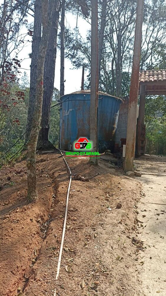 Chácara, 7 quartos, 2 hectares - Foto 4