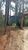 Chácara, 7 quartos, 2 hectares - Foto 4