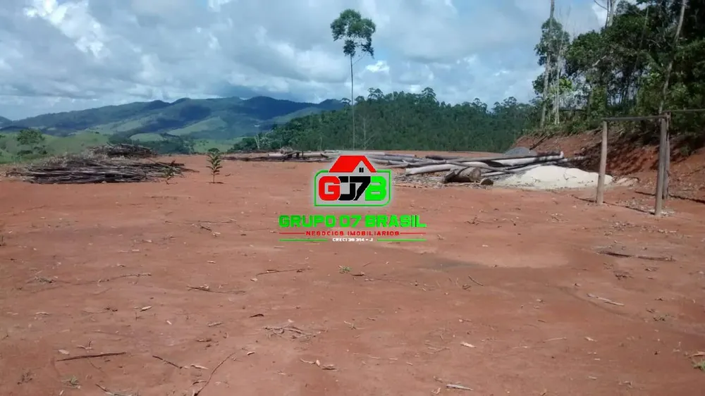 Terreno, 4 hectares - Foto 7