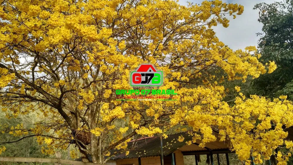 Terreno, 46 m² - Foto 8