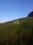 Terreno, 2000 m² - Foto 1