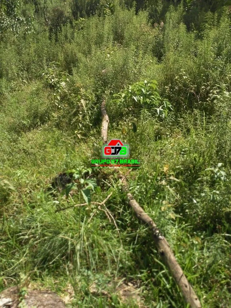 Terreno, 2 hectares - Foto 6