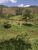 Terreno, 2 hectares - Foto 1