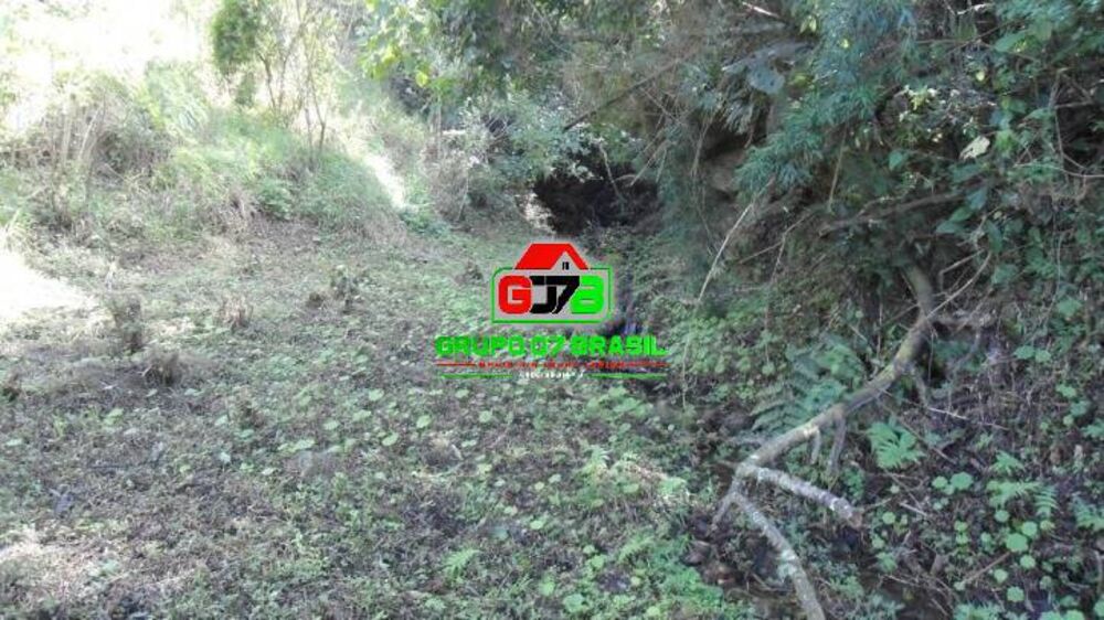 Terreno, 7 hectares - Foto 4