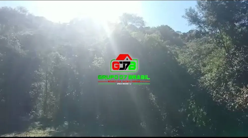 Terreno, 3 hectares - Foto 4