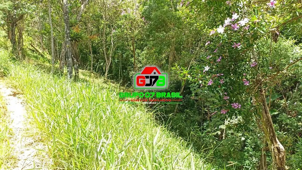 Chácara, 7 quartos, 3 hectares - Foto 3