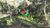 Terreno, 1000 m² - Foto 2