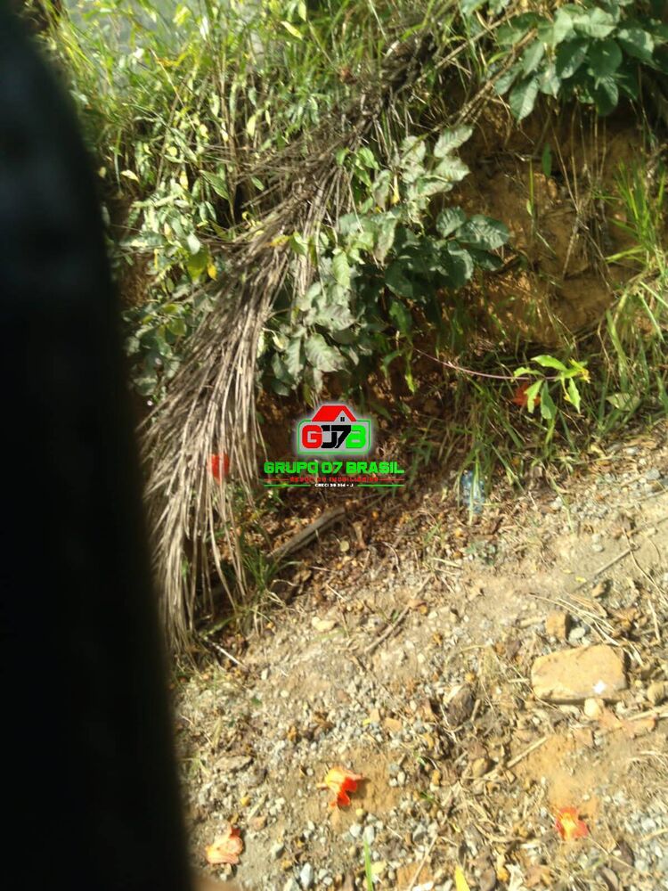 Terreno, 2 hectares - Foto 10