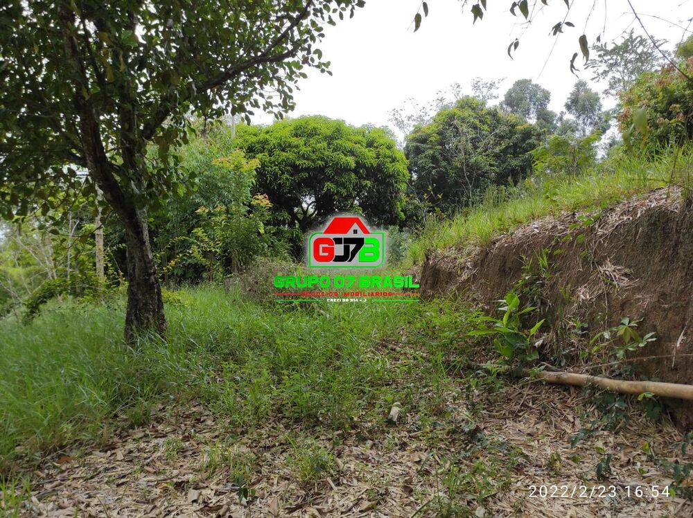 Terreno, 2 hectares - Foto 2