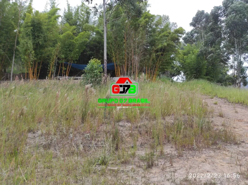Terreno, 2 hectares - Foto 6