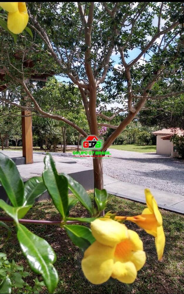 Chácara, 5 quartos, 6160 m² - Foto 9