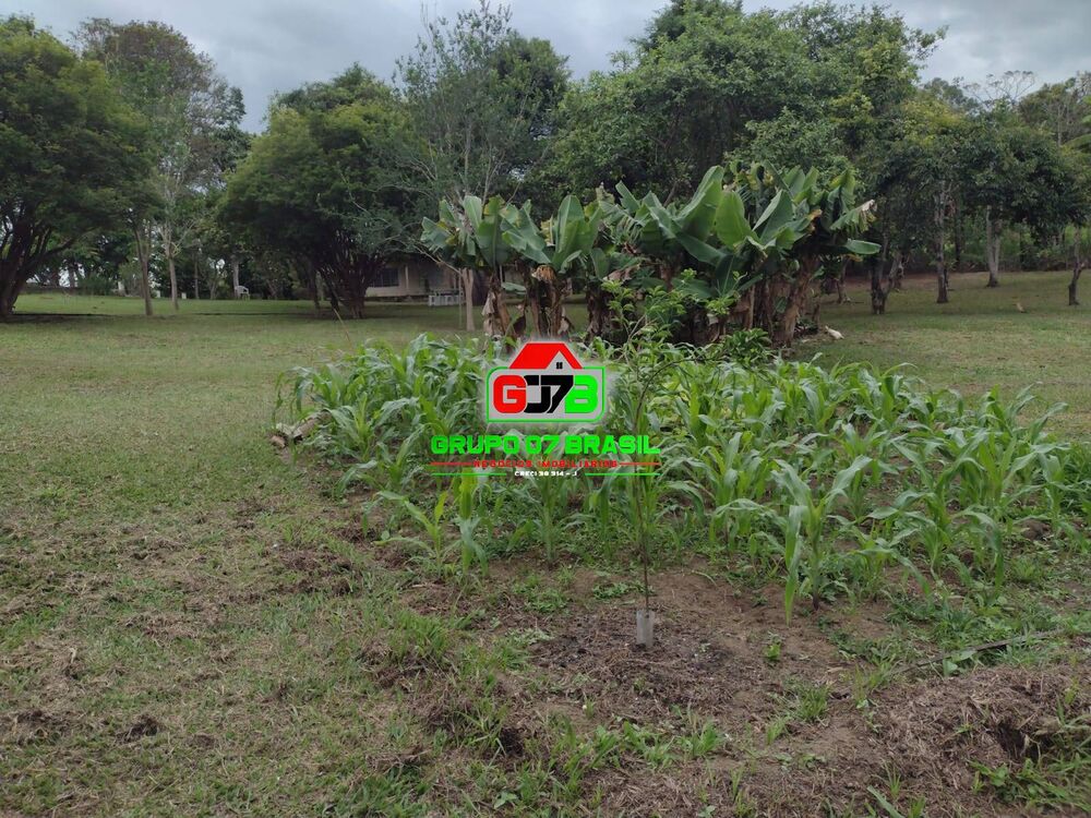 Chácara, 5 quartos, 6160 m² - Foto 11