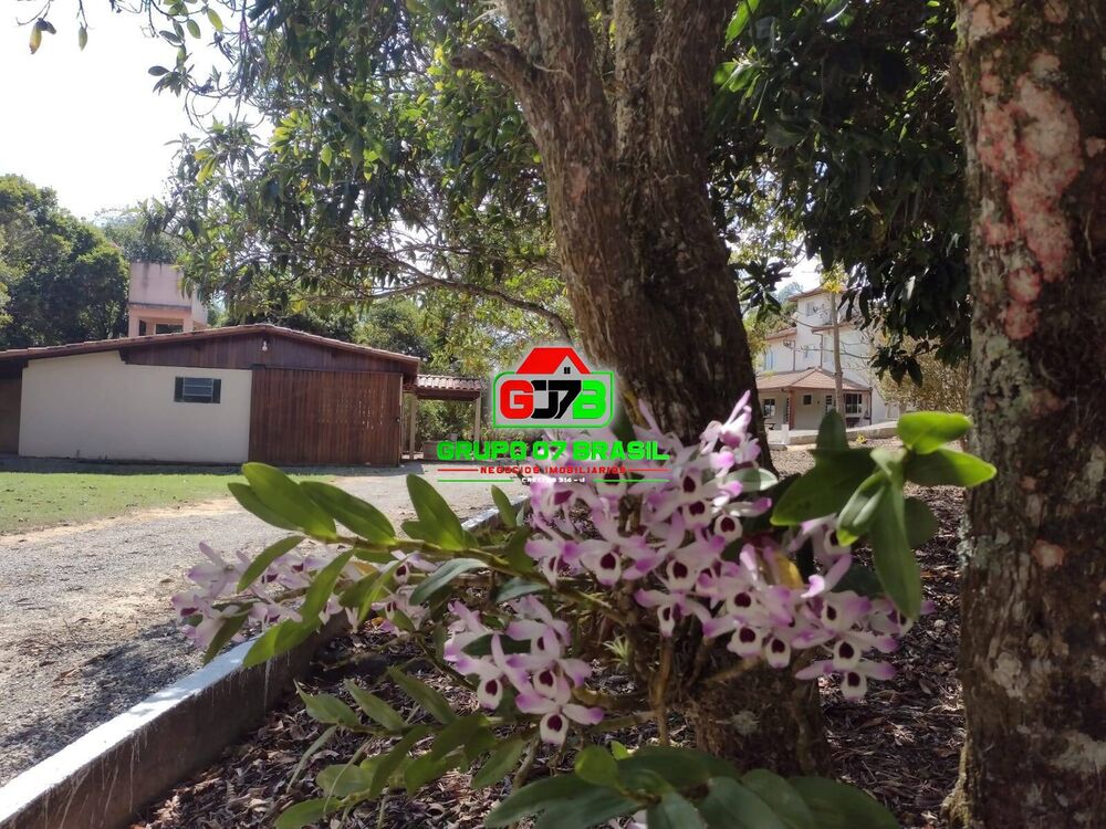 Chácara, 5 quartos, 6160 m² - Foto 5