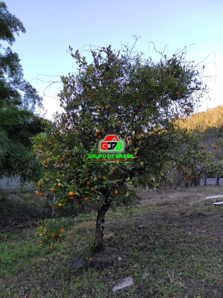 Terreno, 1000 m² - Foto 1