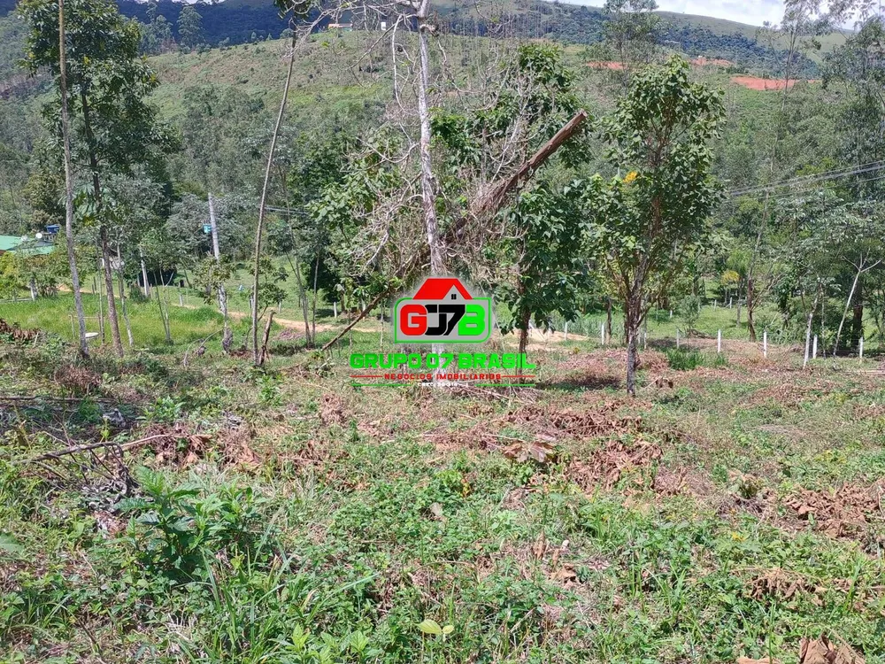 Terreno, 2 hectares - Foto 2
