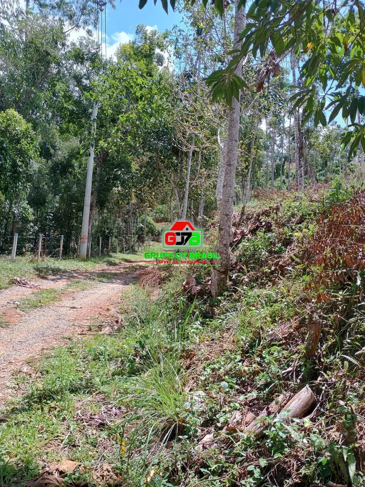 Terreno, 2 hectares - Foto 6