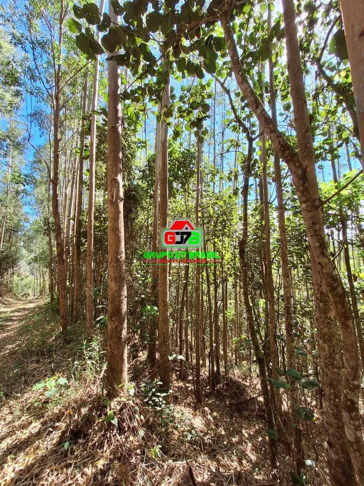 Terreno, 8 m² - Foto 10