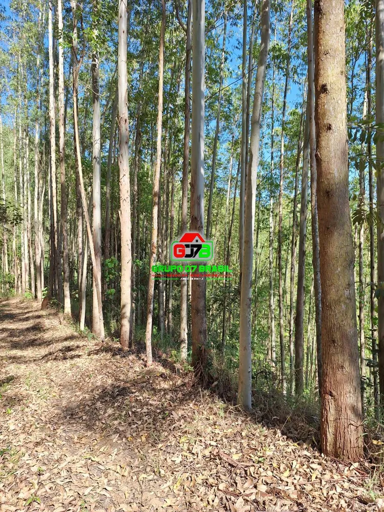 Terreno, 8 m² - Foto 6