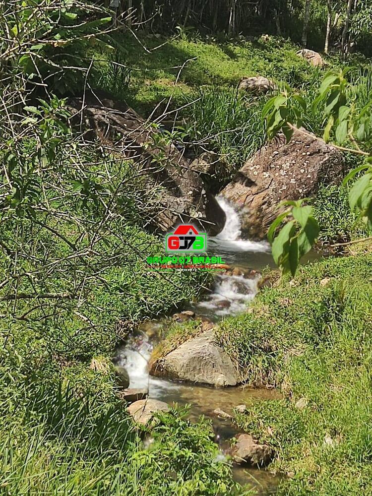 Terreno, 260 hectares - Foto 1