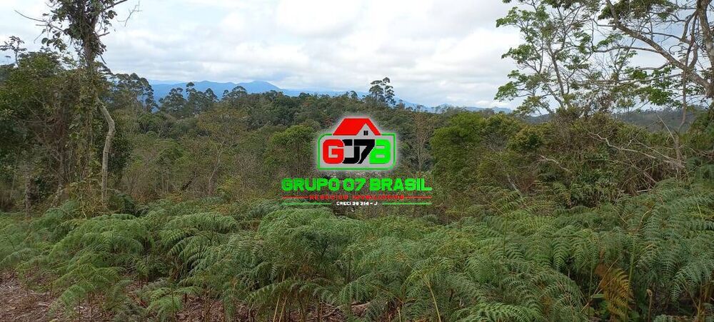 Terreno, 2 hectares - Foto 3