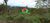 Terreno, 2 hectares - Foto 3