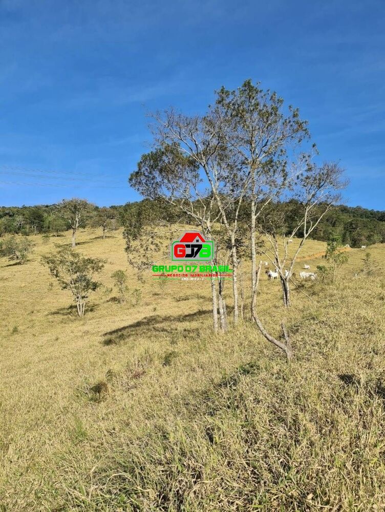 Terreno à venda, 25m² - Foto 4