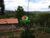 Chácara, 2 quartos, 2700 m² - Foto 2