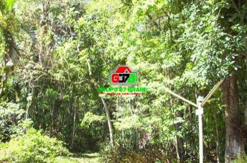 Terreno, 2 hectares - Foto 4