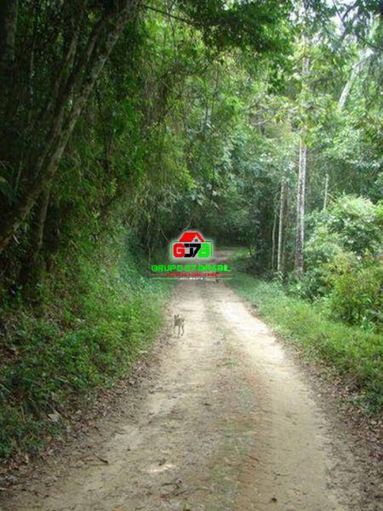 Sítio, 1 quarto, 85 hectares - Foto 4