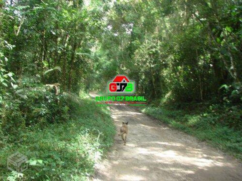 Sítio, 1 quarto, 85 hectares - Foto 10