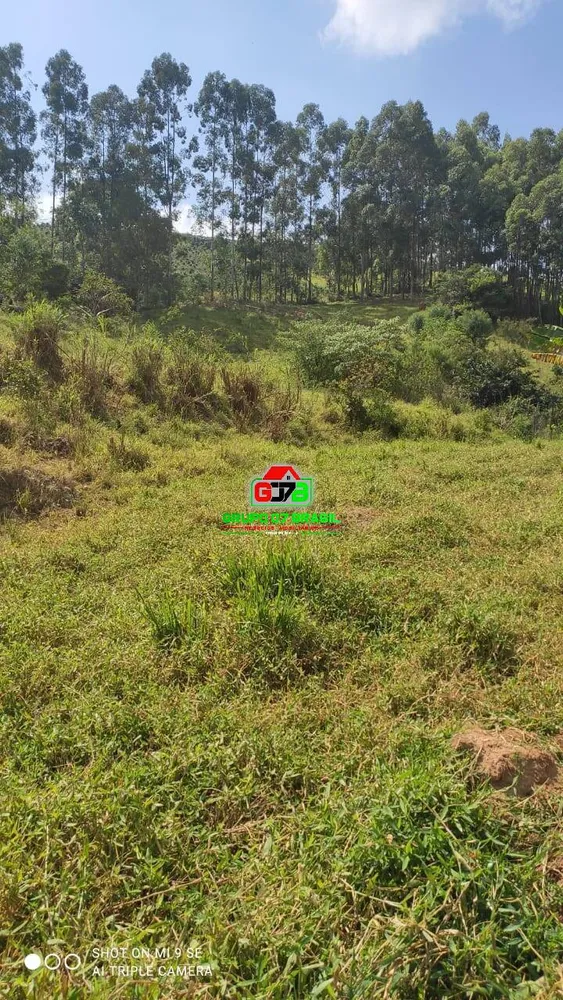 Terreno, 2 hectares - Foto 8