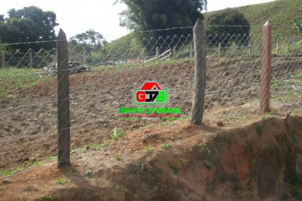 Sítio, 3 quartos, 61 hectares - Foto 5