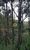 Terreno, 26 m² - Foto 4