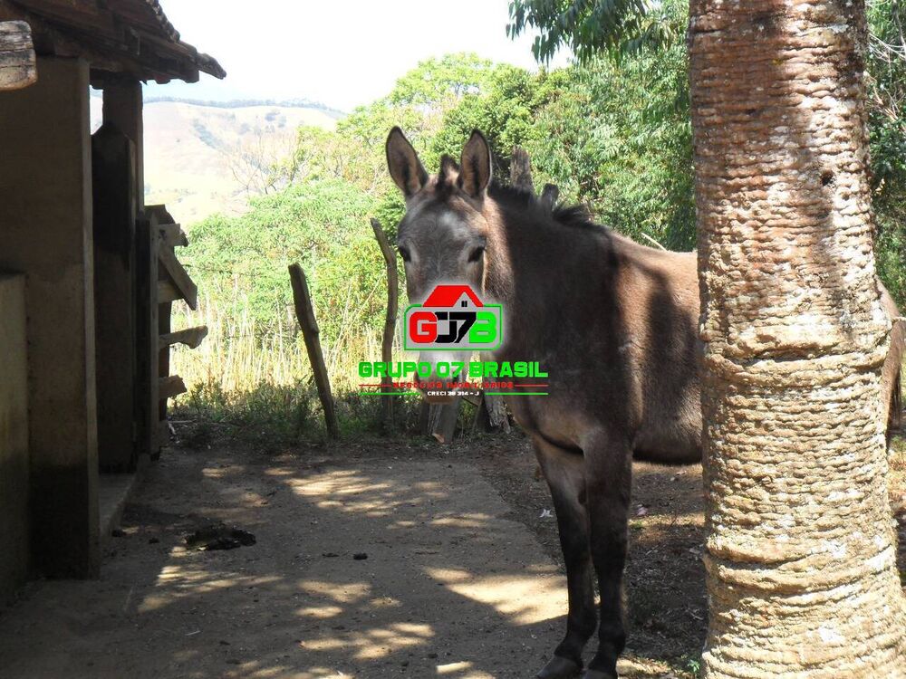 Terreno, 10000 m² - Foto 2