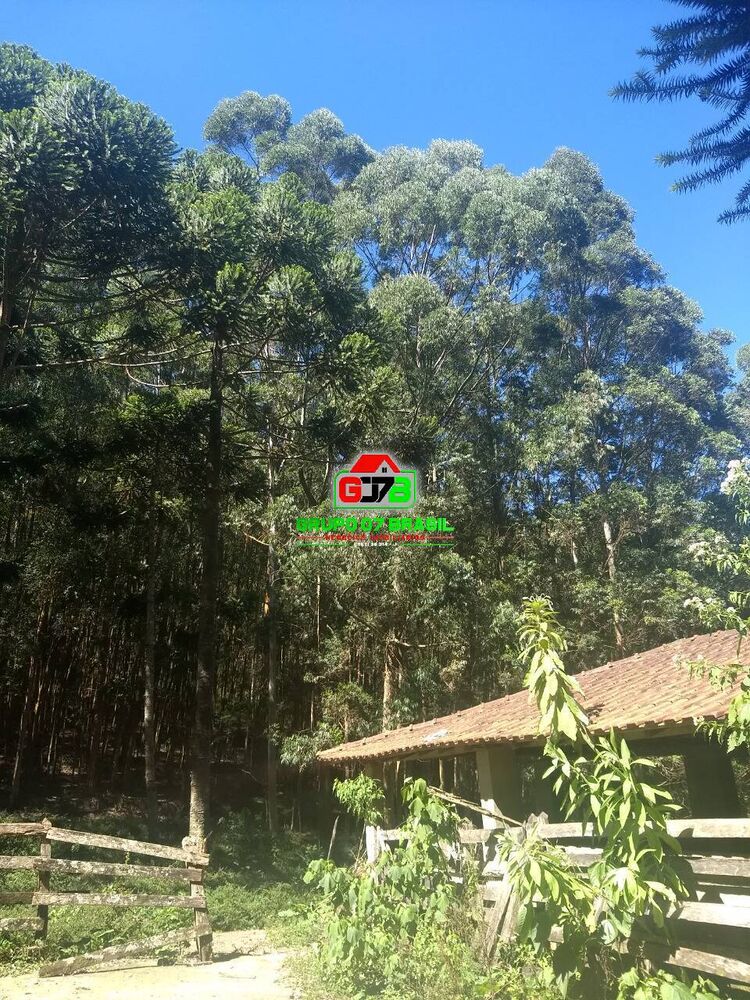 Terreno, 10000 m² - Foto 4